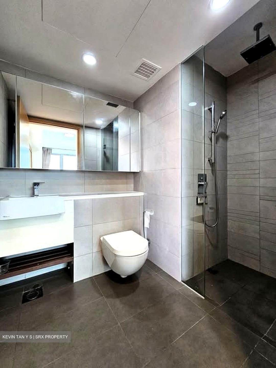 Eight Riversuites (D12), Condominium #558866381